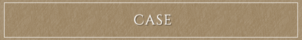 CASE 施工実績